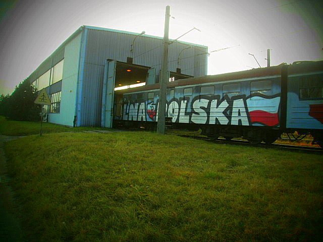 Graffiti Train - Photo by edson
