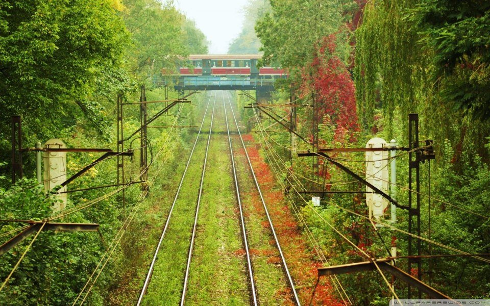 Graffiti Artwork - Photo by edson