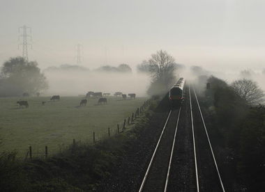 Graffiti Artwork - Photo by edson