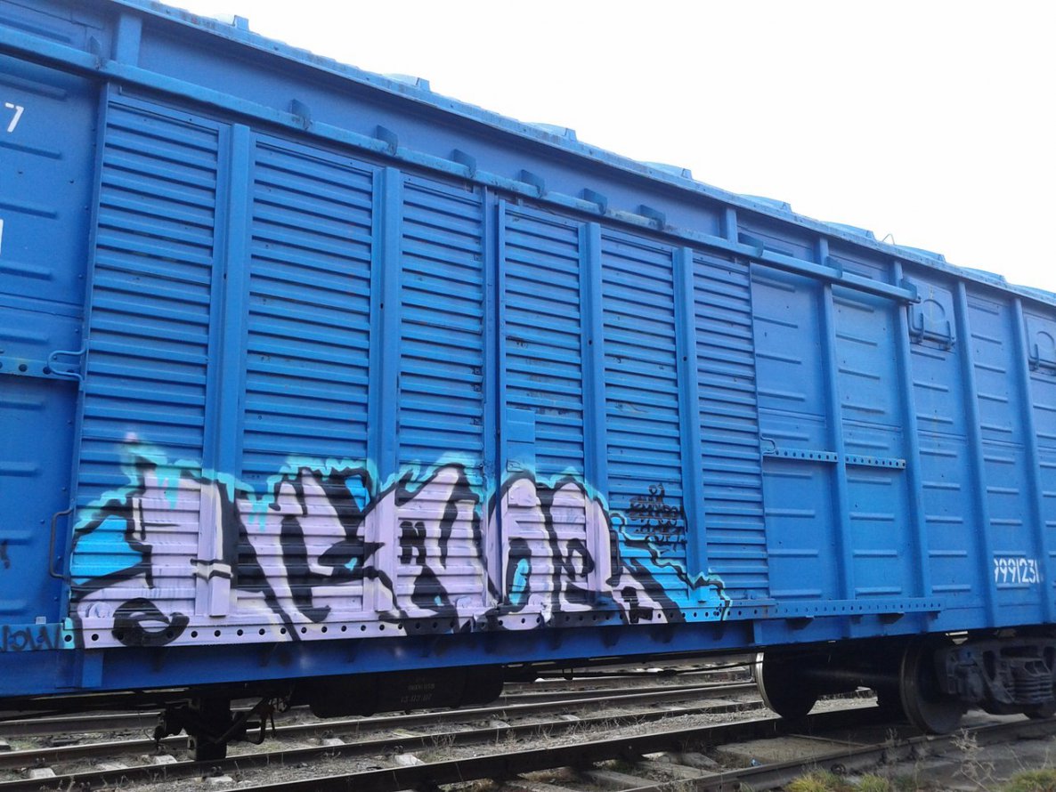 Graffiti Train - Photo by egnor