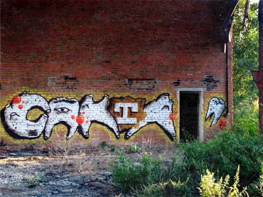 Graffiti Wall - Photo by egornrm