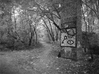 Graffiti Artwork - Photo by egornrm