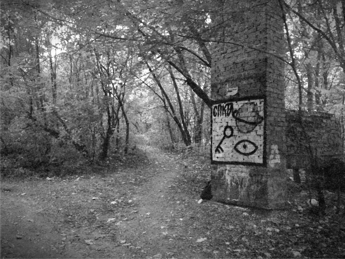 Graffiti Artwork - Photo by egornrm