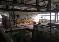 Photo #126813 by tireo