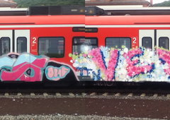 Photo #109655 by rickylks