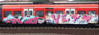 Graffiti Train - Photo by ehdualdefotz - veto, zug, onf (2014)