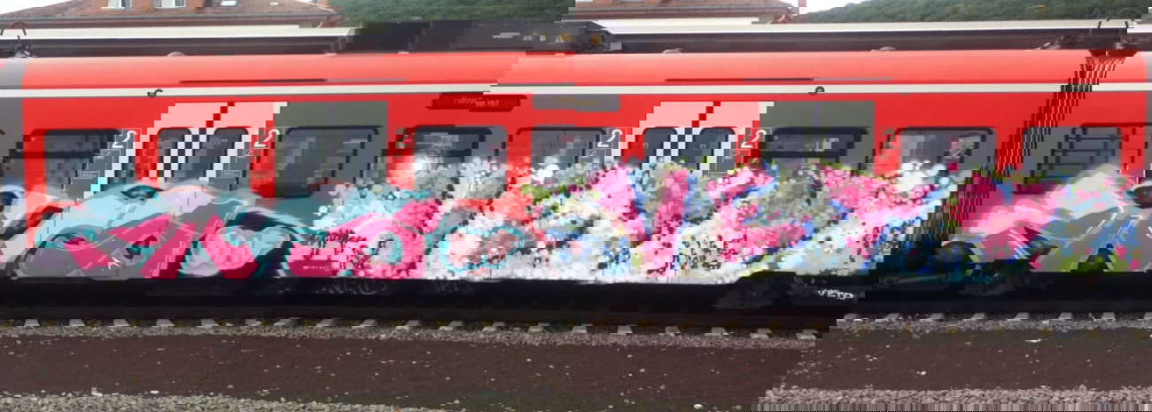 Graffiti Train - Photo by ehdualdefotz - veto, zug, onf (2014)