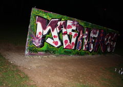 Photo #37449 by tampa911