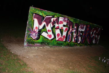 Graffiti Wall in Bonn - Photo by eiersalat - mash, frog