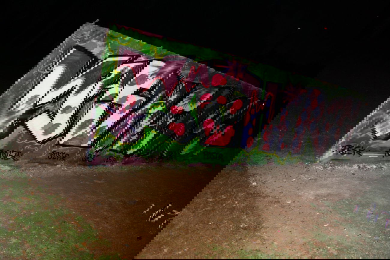 Graffiti Wall in Bonn - Photo by eiersalat - mash, frog