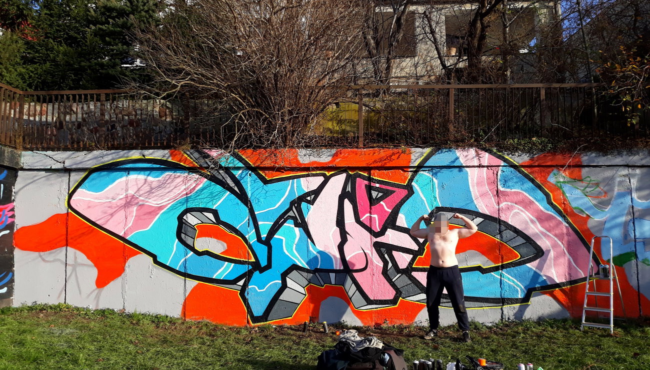 Graffiti Wall - Photo by eliano1 - hall, of, fame (2018)