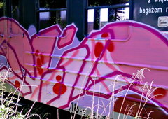 Photo #95611 by kwiatXwhoyou