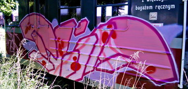 Graffiti Train in Wola Wierzbowska - Photo by eliano1 (2014)