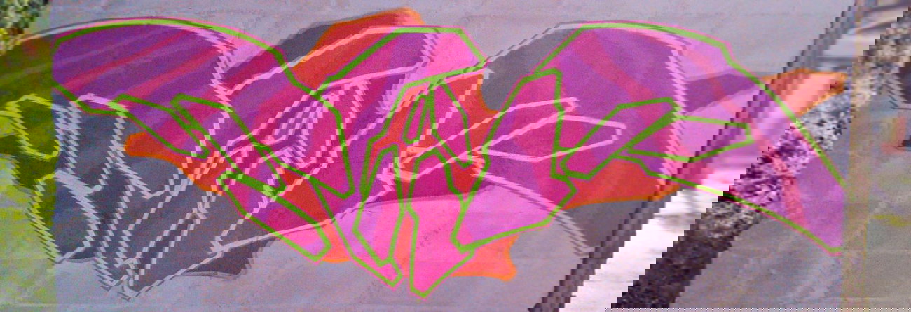 Graffiti Wall in Tarnówka, Kuyavian-Pomeranian Voivodeship - Photo by eliano1 (2014)