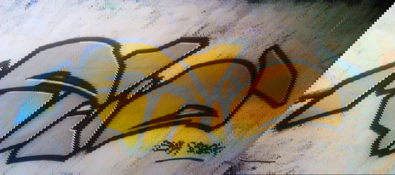 Graffiti Bombing - Photo by eliano1 (2014)