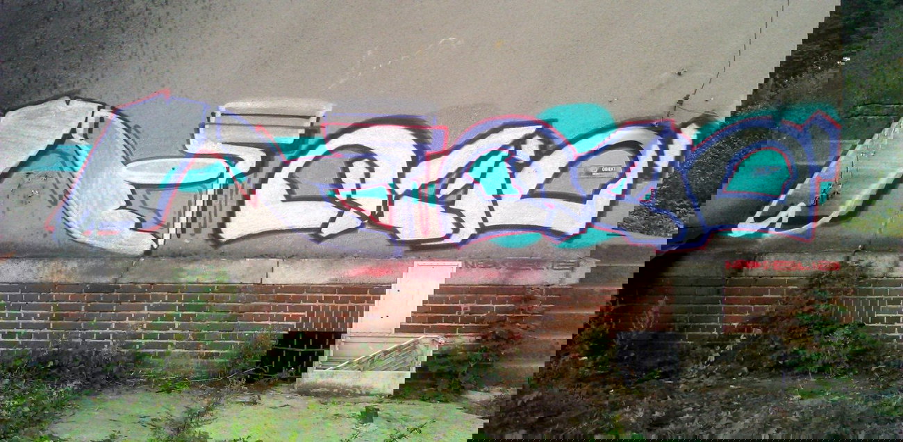 Graffiti Bombing in Targowo - Photo by eliano1 - train, line, obiekt (2014)