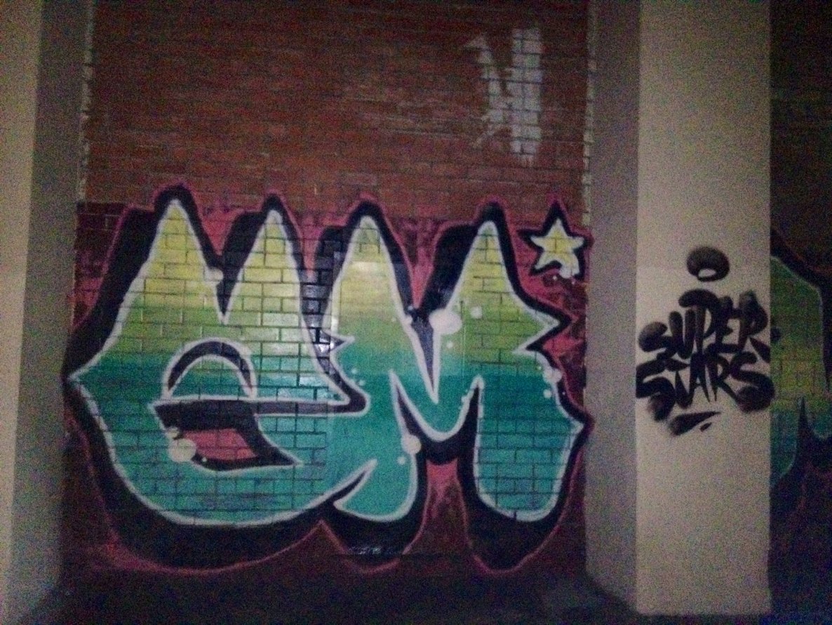 Graffiti Bombing - Photo by em (2012)
