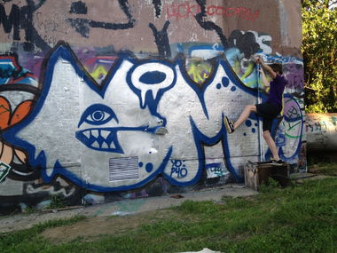 Graffiti Bombing - Photo by em (2012)