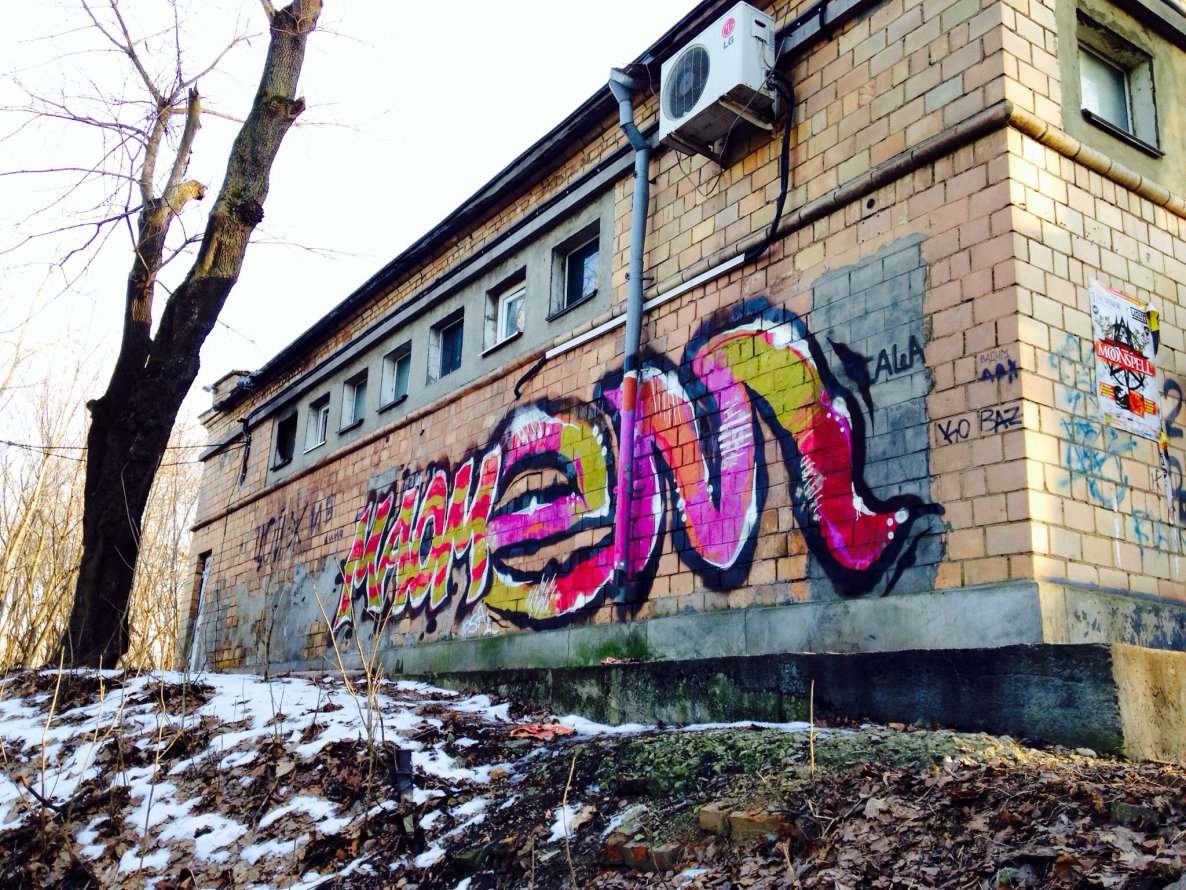 Graffiti Bombing - Photo by em (2014)