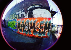 Photo #101775 by anteiichi