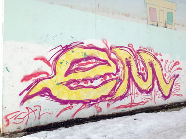 Graffiti Bombing - Photo by em