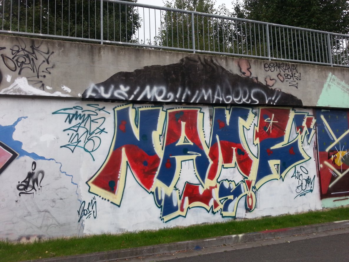 Graffiti Bombing - Photo by emilyerdbeere - namr