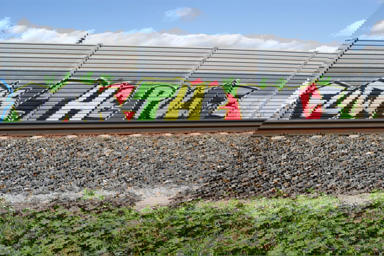 Graffiti Bombing - Photo by emilyerdbeere - fuck, the, police