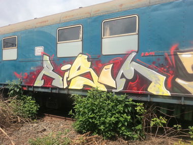 Graffiti Train - Photo by emilyerdbeere - risom, fbs, karlsruhe