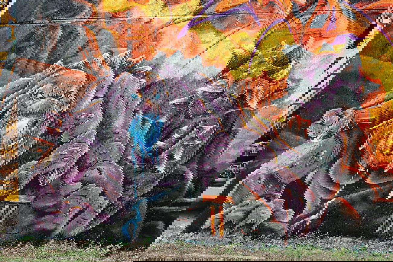 Graffiti Wall - Photo by emon - EMON, PIE-CREW (2014)