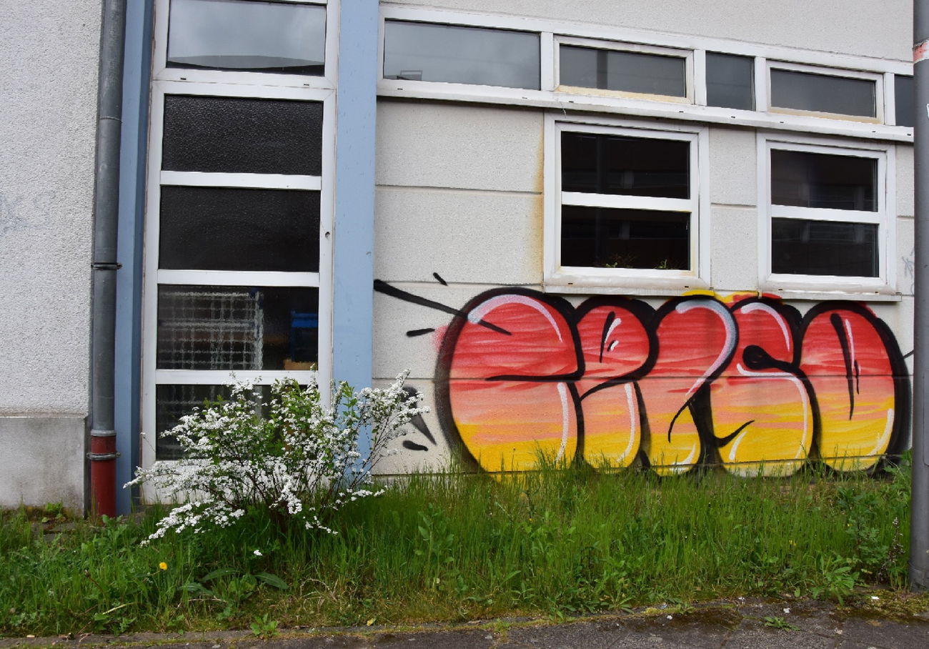 Graffiti Wall - Photo by energis - Celso (2017)