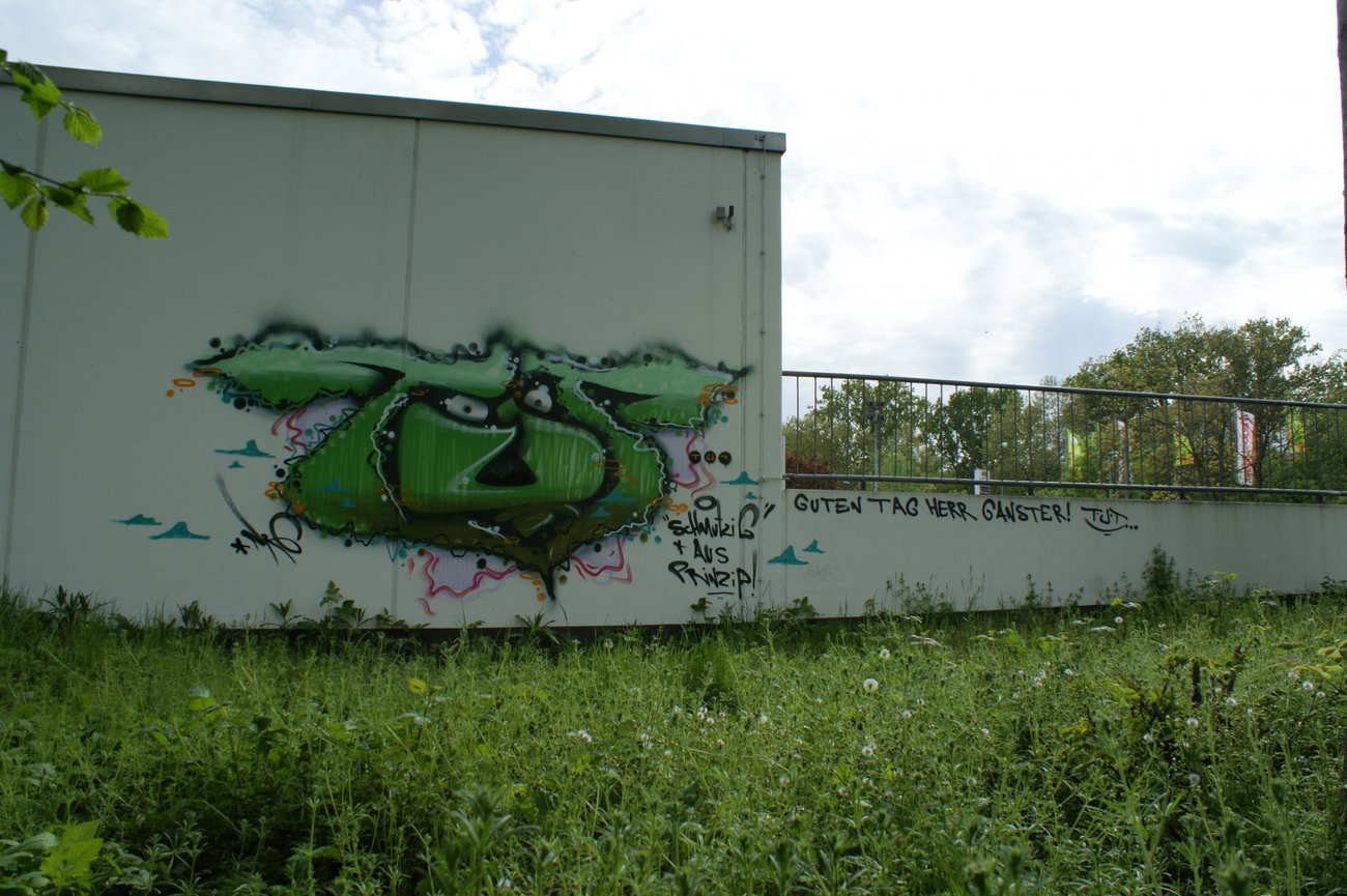 Graffiti Wall - Photo by energis - TUT (2015)