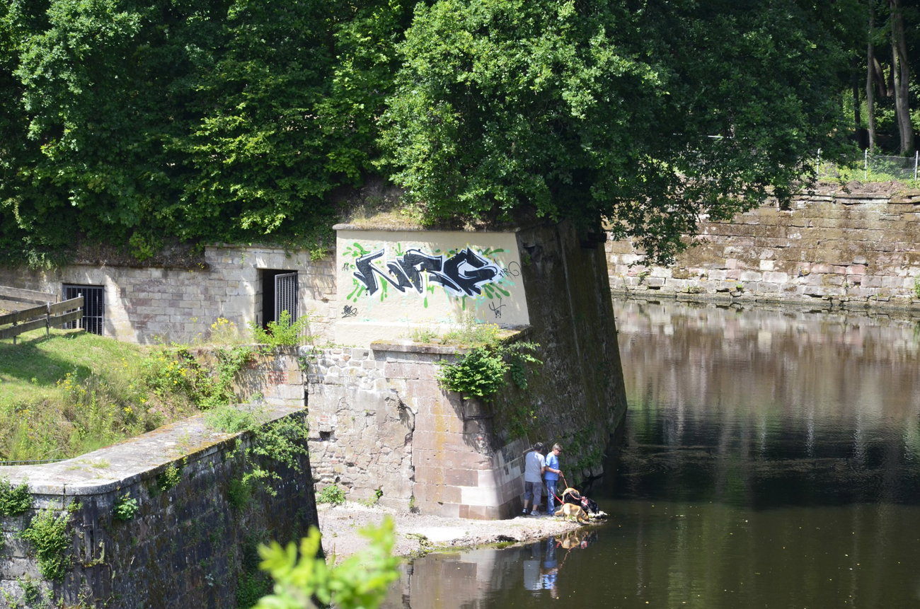 Graffiti Wall - Photo by energis - NRG, Seax, TUT (2014)
