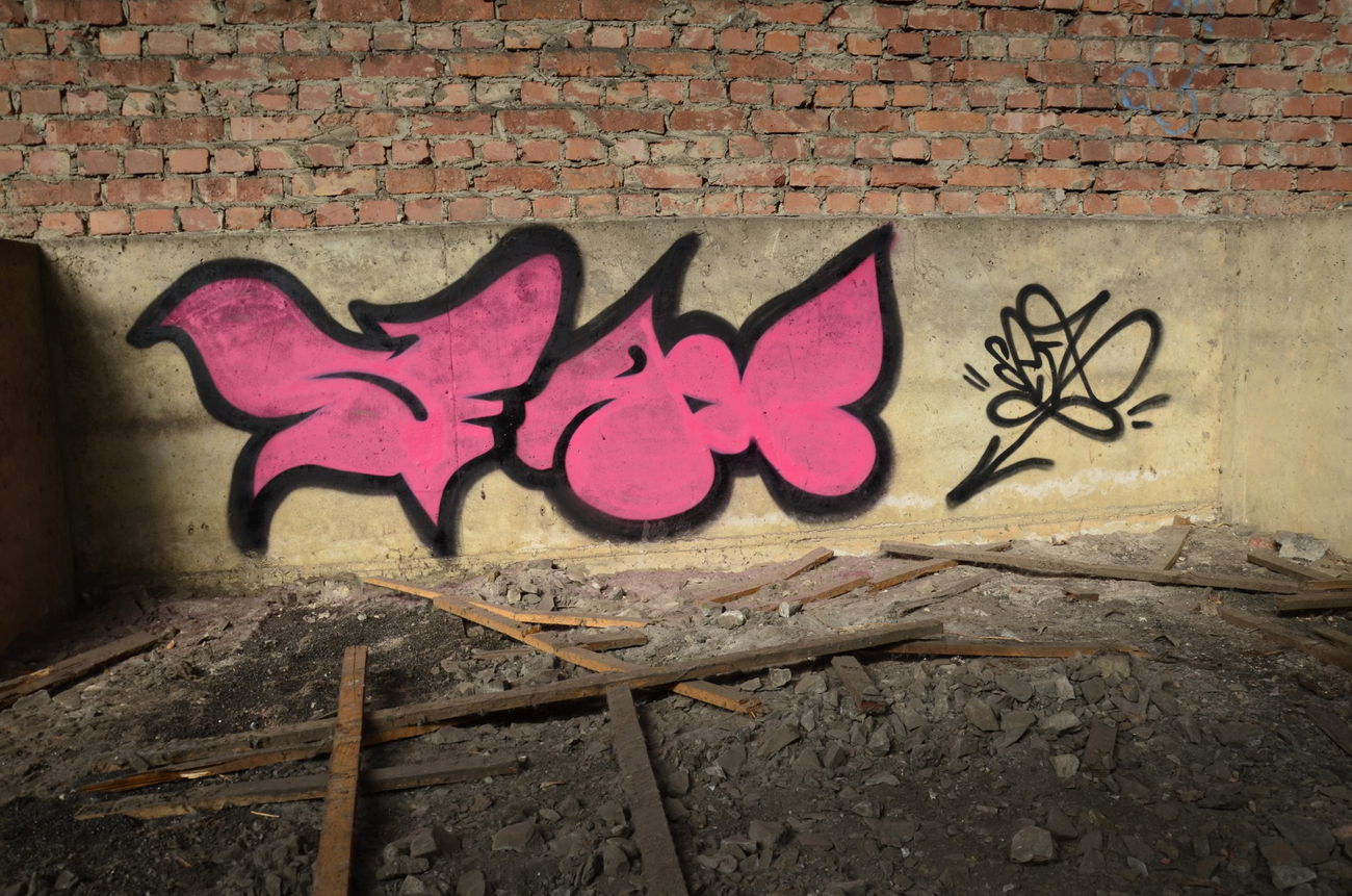 Graffiti Bombing - Photo by energis - Seax, NRG (2014)