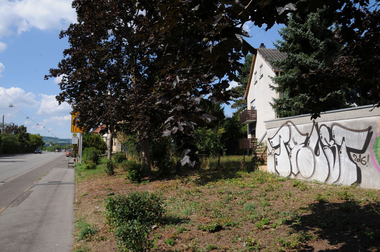 Graffiti Bombing - Photo by energis - Trust (2016)