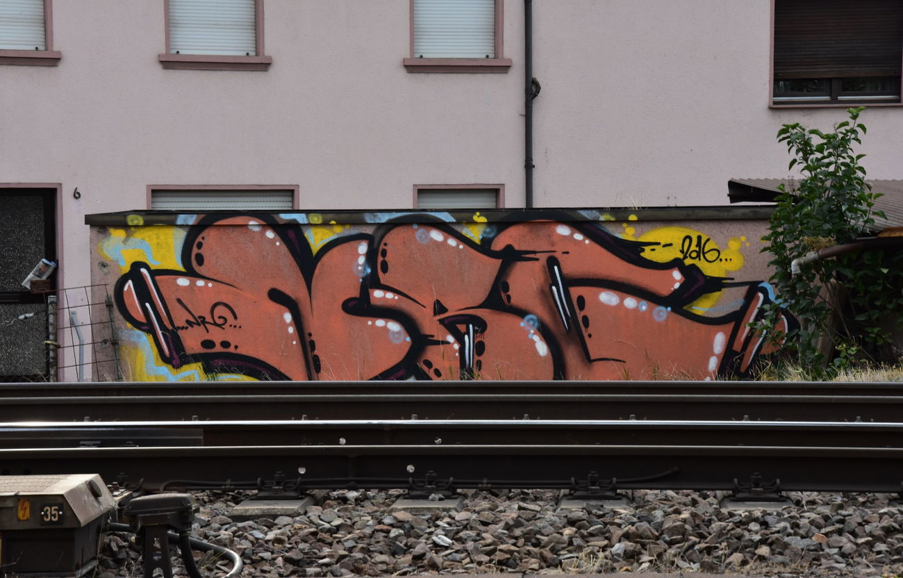 Graffiti Wall - Photo by energis - NRG (2016)