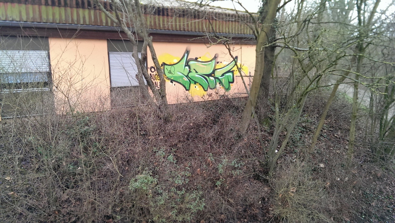 Graffiti Wall - Photo by energis - NRG, Seax, Trust (2014)