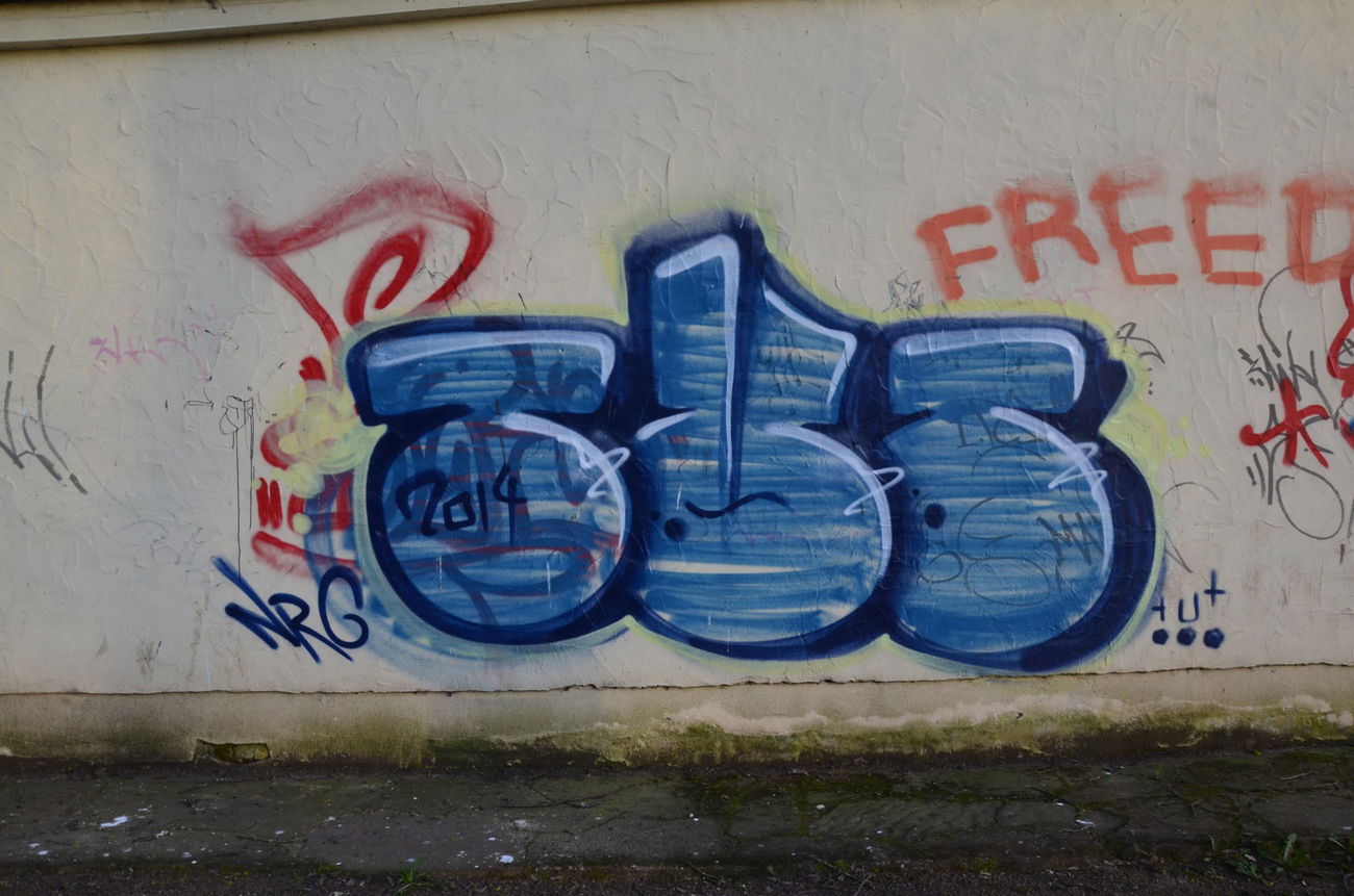 Graffiti Bombing - Photo by energis - TUT, NRG (2014)