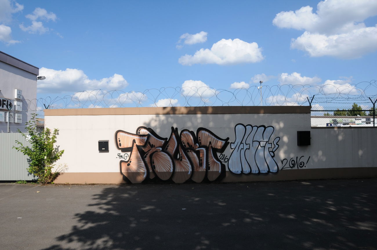 Graffiti Bombing - Photo by energis - Trust, Zeuge (2016)