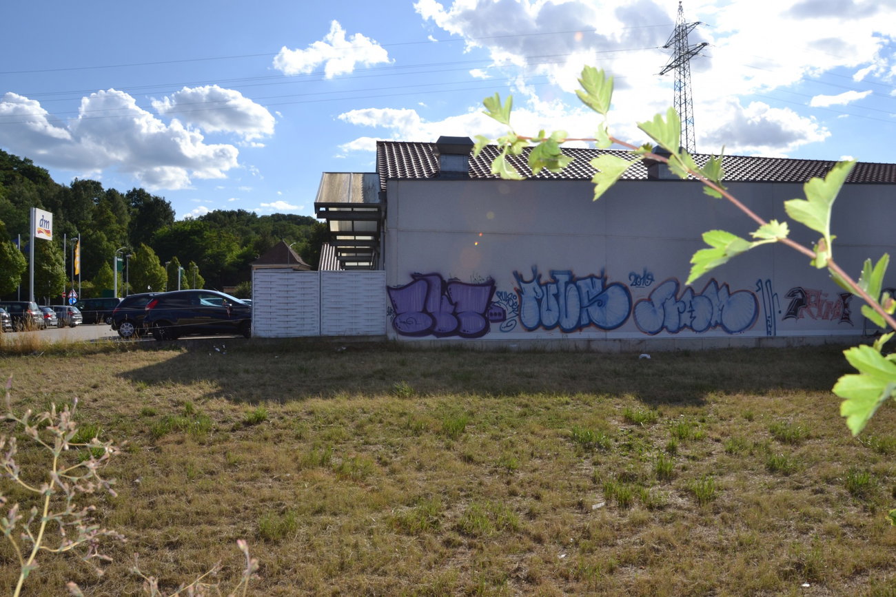 Graffiti Wall - Photo by energis - tut, Puls, Sram (2015)