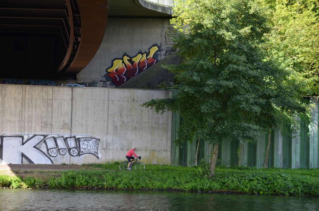 Graffiti Bombing - Photo by energis - SVN, Heks, Seax (2013)