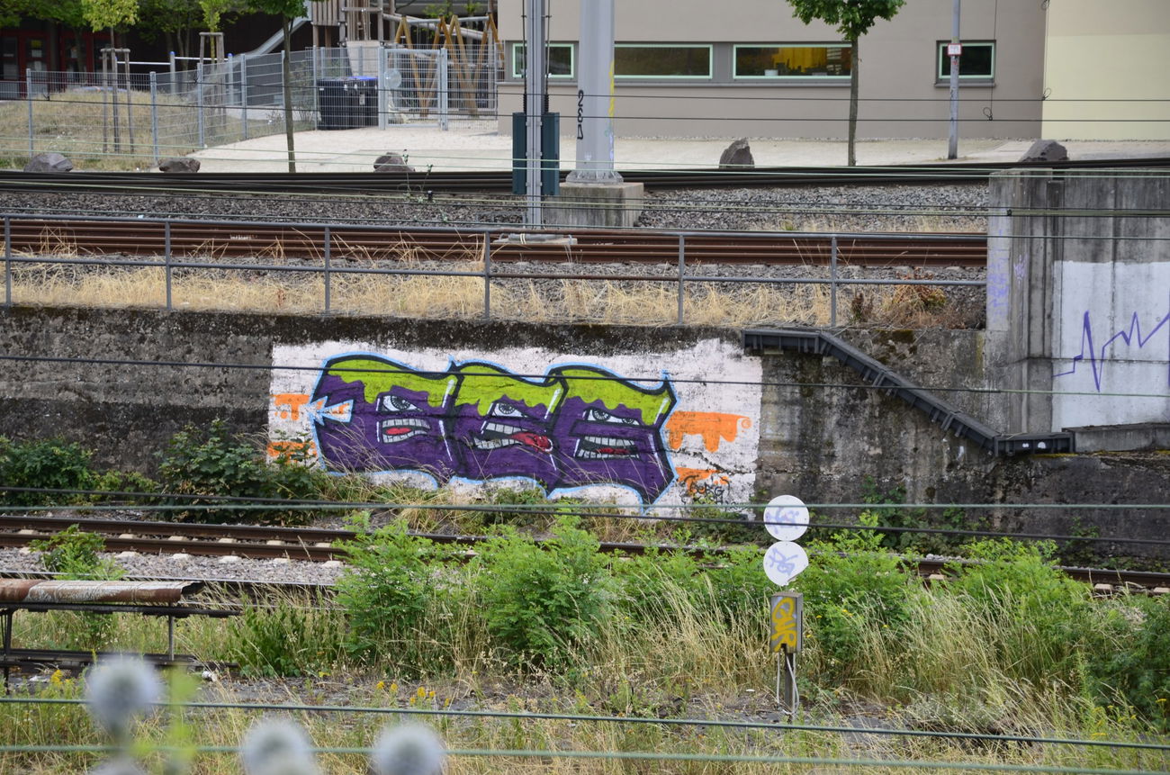 Graffiti Bombing - Photo by energis - BRG, Berg (2015)