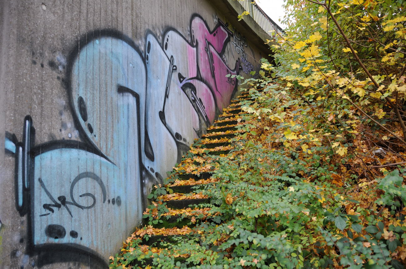 Graffiti Wall - Photo by energis - NRG (2016)