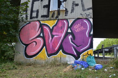 Graffiti Bombing - Photo by energis - SVN, Heks, Seax (2013)
