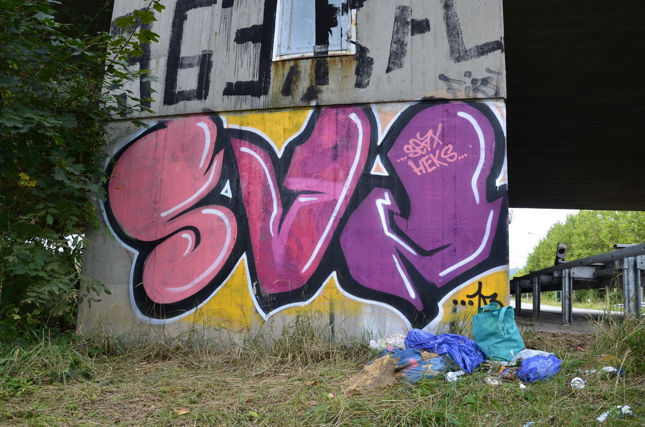 Graffiti Bombing - Photo by energis - SVN, Heks, Seax (2013)