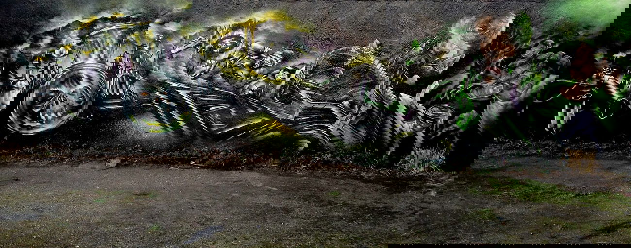 Graffiti Wall - Photo by ephiq - bird, ephiq, fruits (2014)