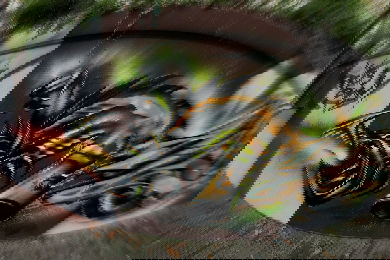 Graffiti Wall - Photo by ephiq - ephiq, fruits, of