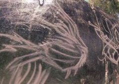 Graffiti Video - Photo by ephiq