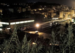 Photo #9139 by Homie