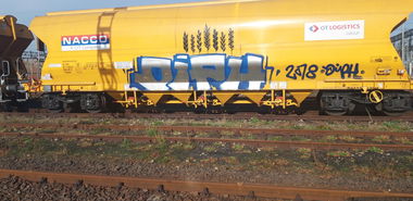 Graffiti Train - Photo by errrrrrrr23 - rapporn, graffporn, train