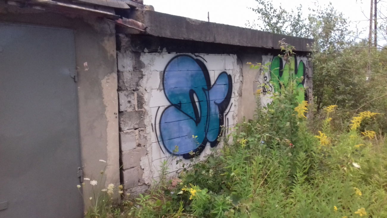 Graffiti Bombing - Photo by errrrrrrr23 - trollup, trowup, tupy